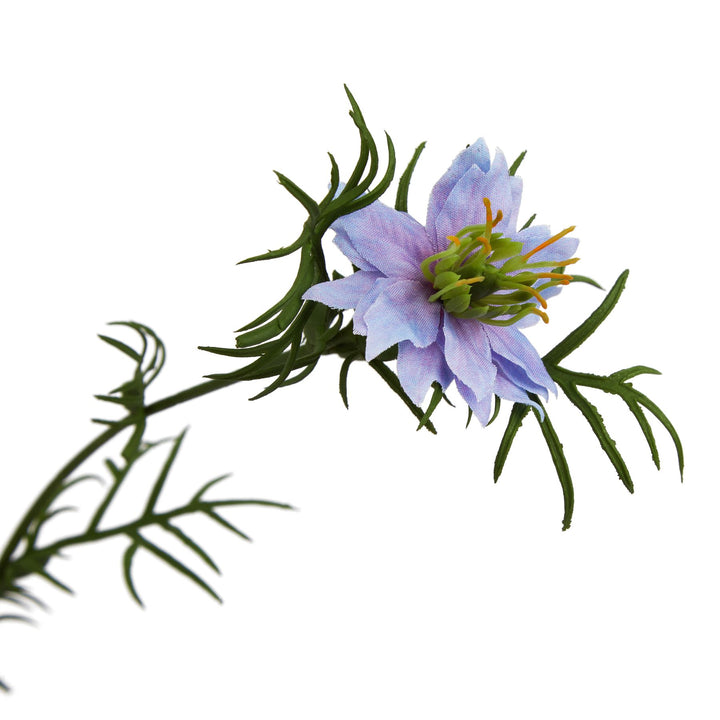 The Natural Garden Collection Purple Nigella “Love-in-a-Mist”