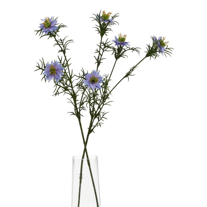 The Natural Garden Collection Purple Nigella “Love-in-a-Mist”