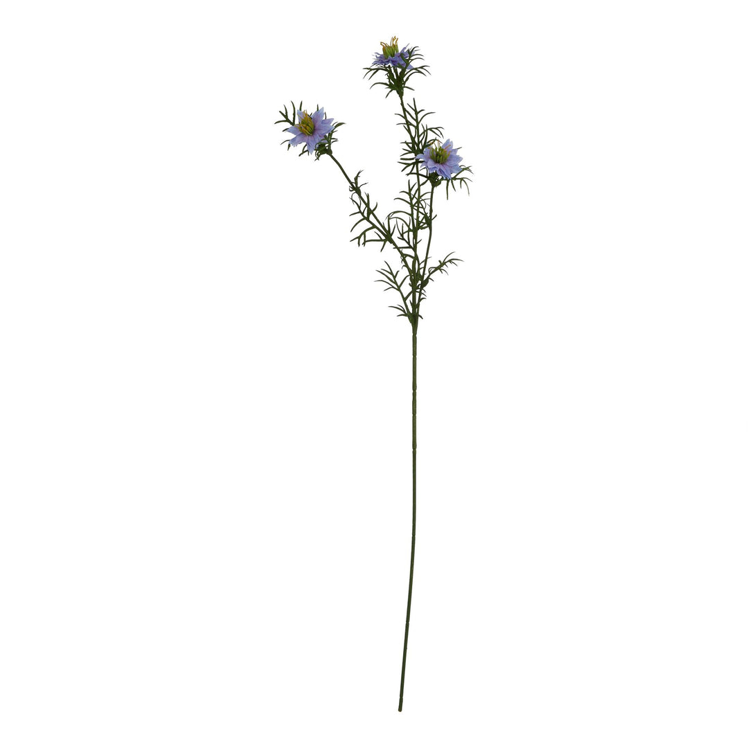 The Natural Garden Collection Purple Nigella “Love-in-a-Mist”