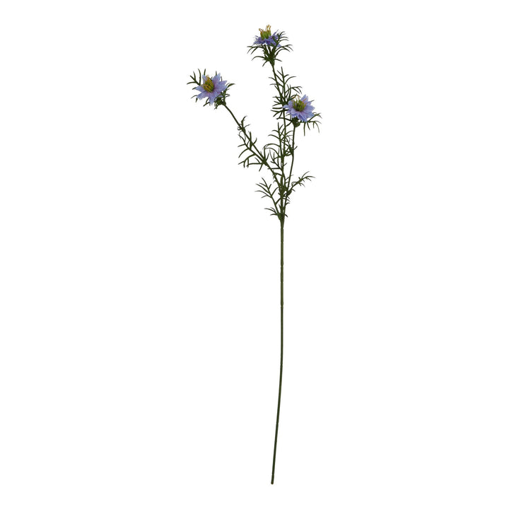 The Natural Garden Collection Purple Nigella “Love-in-a-Mist”