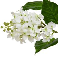 Natural Garden Collection White Lilac Decorative Flower