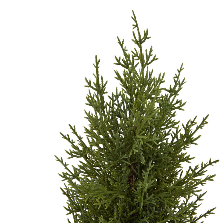 Small-Green-Fir-Tree-In-Wood-Log