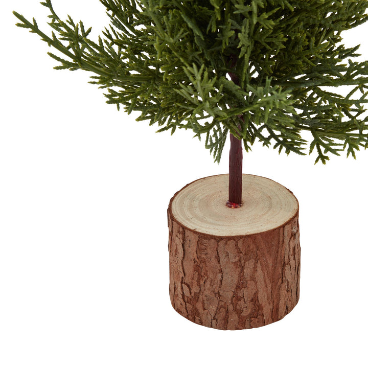 Small-Green-Fir-Tree-In-Wood-Log