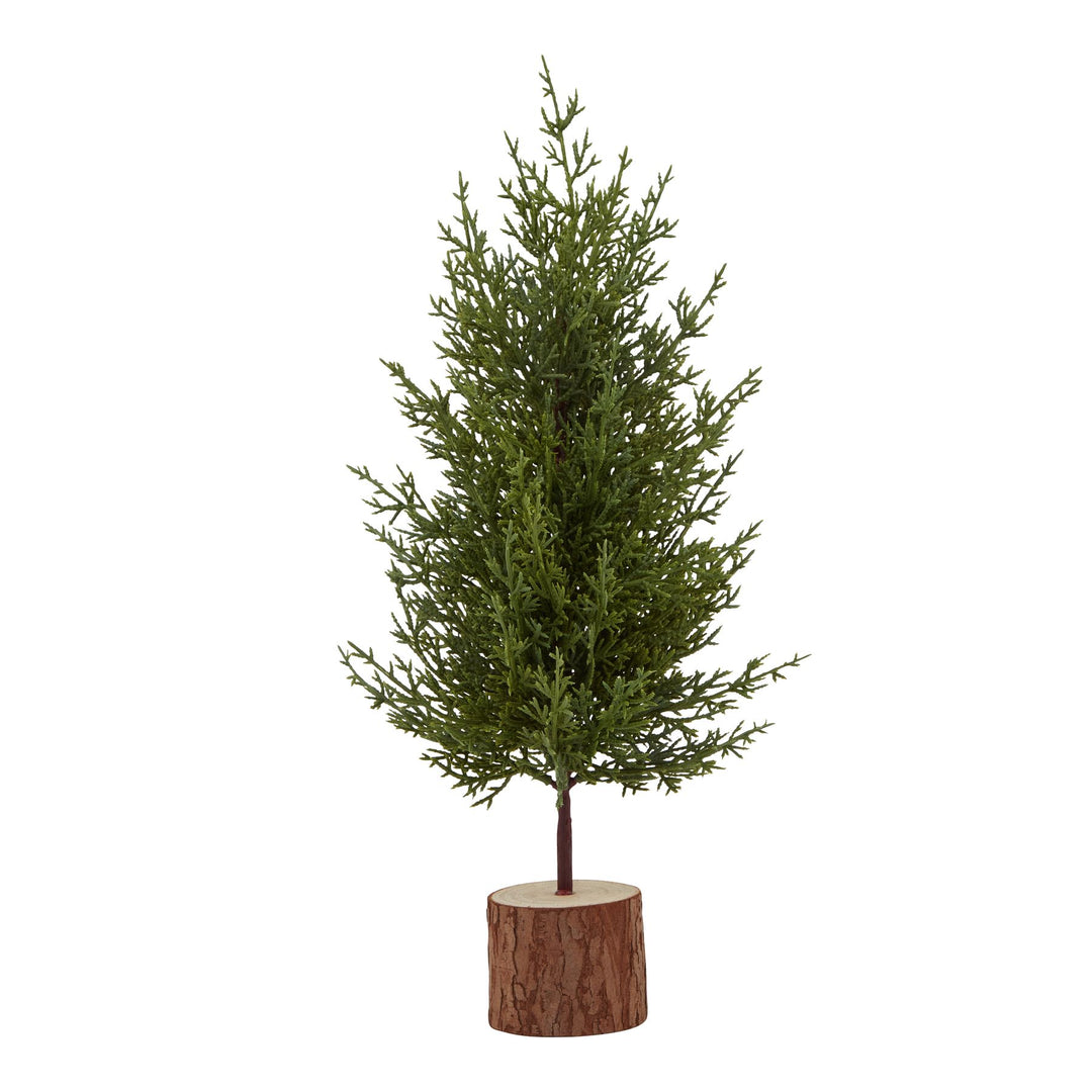 Small-Green-Fir-Tree-In-Wood-Log