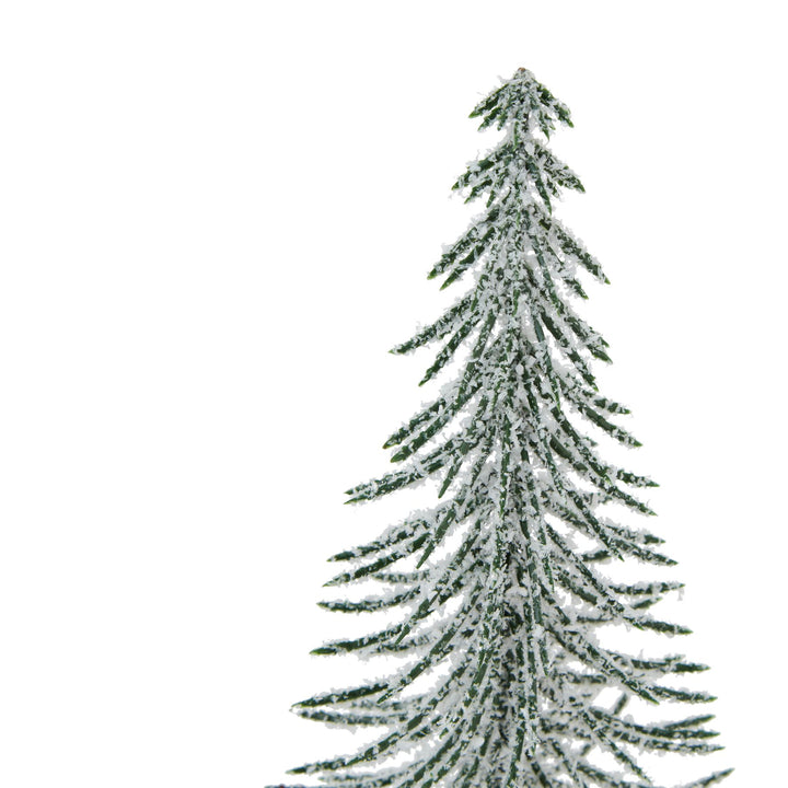 Large-Snowy-Spindle-Tree-In-Wood-Log
