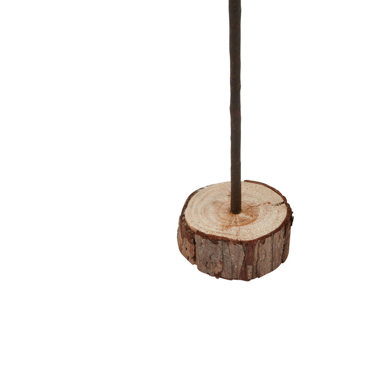 Large-Snowy-Spindle-Tree-In-Wood-Log