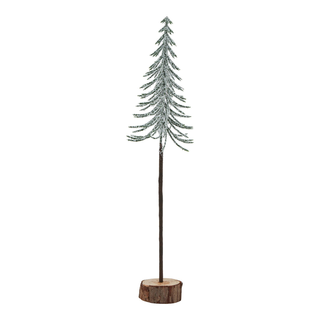 Large-Snowy-Spindle-Tree-In-Wood-Log