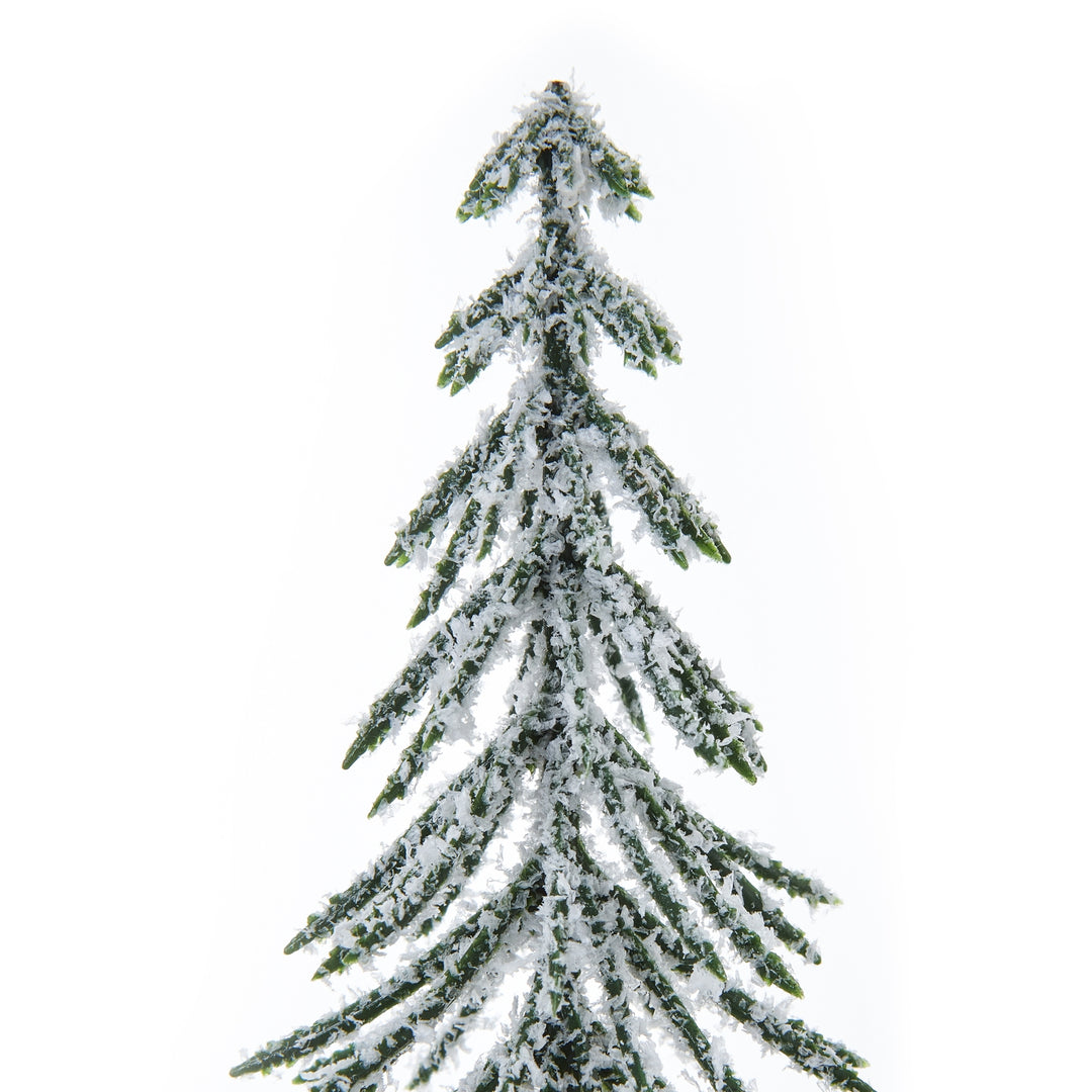 Medium-Snowy-Spindle-Tree-In-Wood-Log
