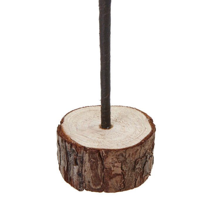 Medium-Snowy-Spindle-Tree-In-Wood-Log