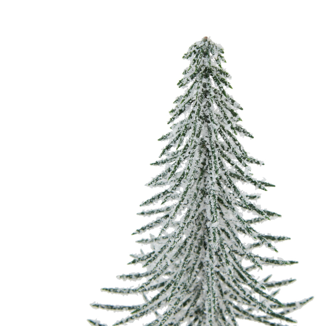 Small-Snowy-Spindle-Tree-In-Wood-Log