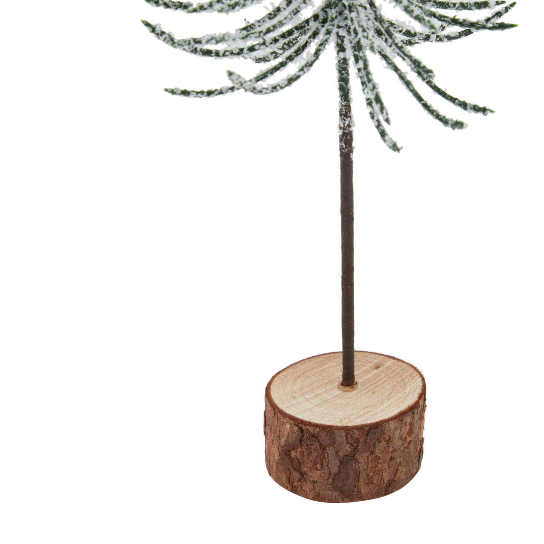 Small-Snowy-Spindle-Tree-In-Wood-Log