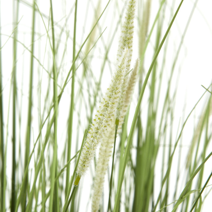 Large Onion Grass Decorative Plant in Pot