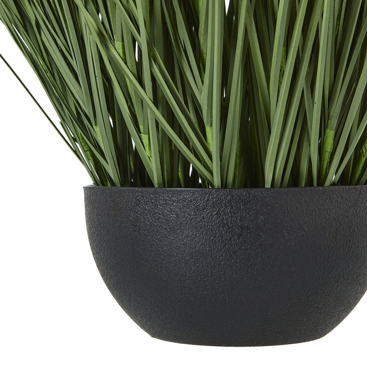 Large Onion Grass Decorative Plant in Pot