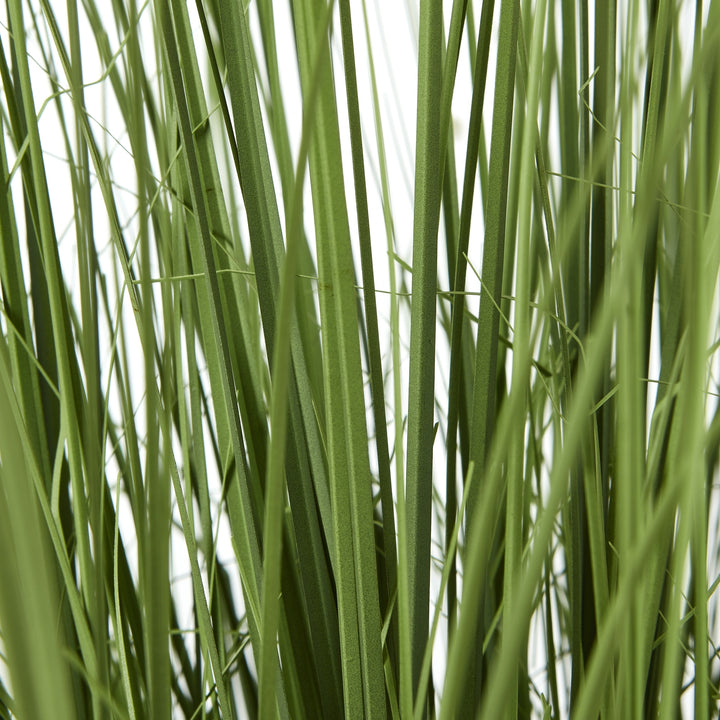 Large Onion Grass Decorative Plant in Pot