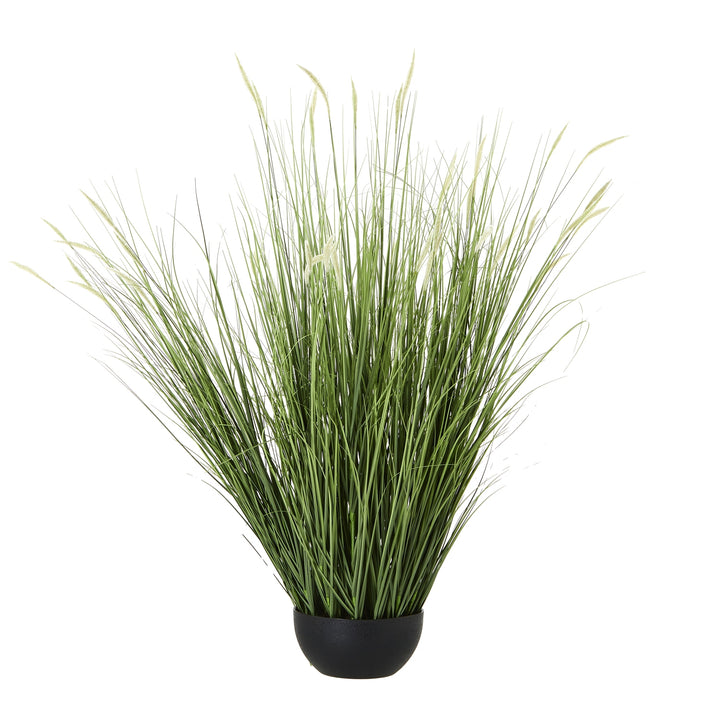 Large Onion Grass Decorative Plant in Pot