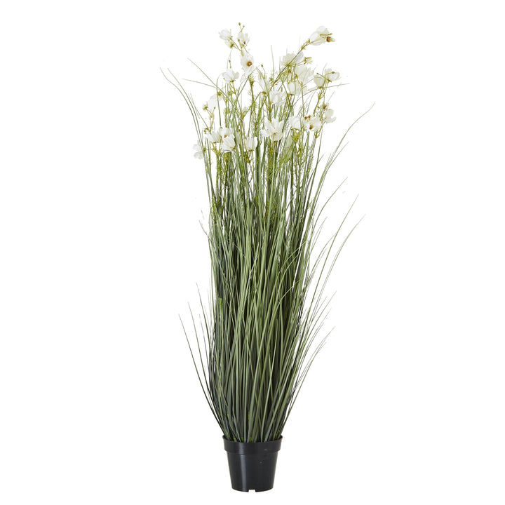 Large White Meadow Plant in Decorative Pot