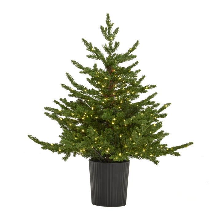 Forest Fir Pre-Lit Potted Christmas Tree – 300 LED Lights