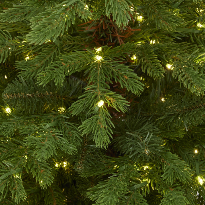 Forest Fir Pre-Lit Potted Christmas Tree – 300 LED Lights