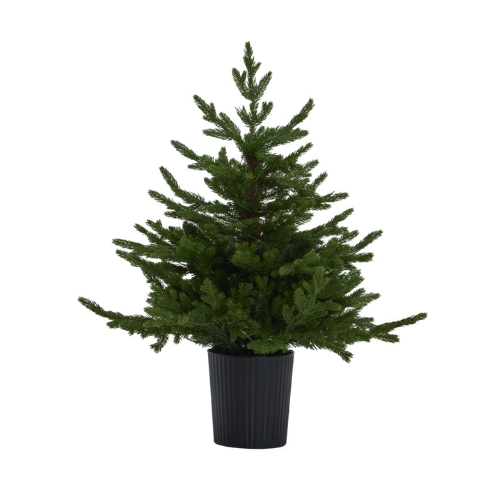 Forest Fir Pre-Lit Potted Christmas Tree – 300 LED Lights
