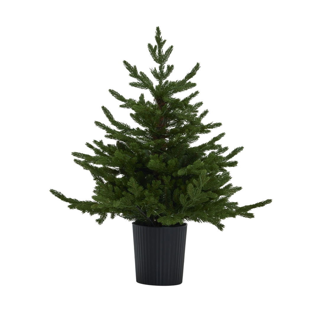 Green-Forest-Fir-Pre-Lit-Led-300L-Christmas-Tree-In-Pot