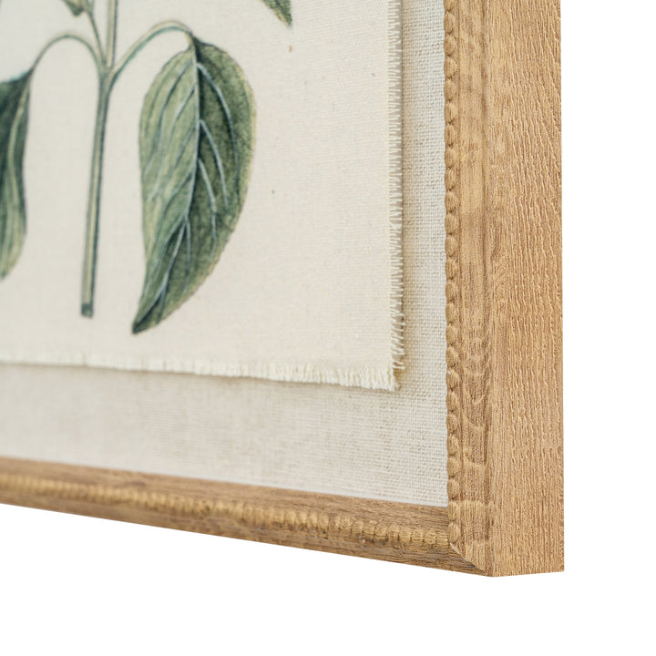 Flora & Fauna Collection Salvia on Linen in Beaded Frame