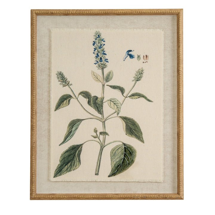 Flora & Fauna Collection Salvia on Linen in Beaded Frame