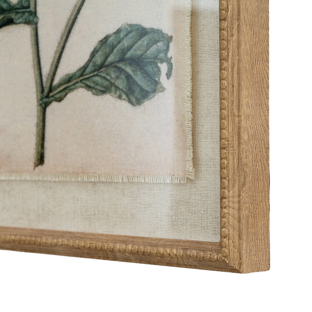 Flora & Fauna Collection Borage on Linen in Beaded Frame