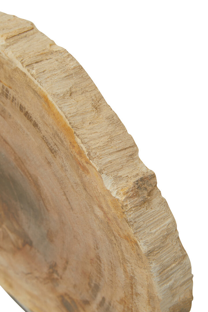 Bayview Sculpture – Petrified Wood