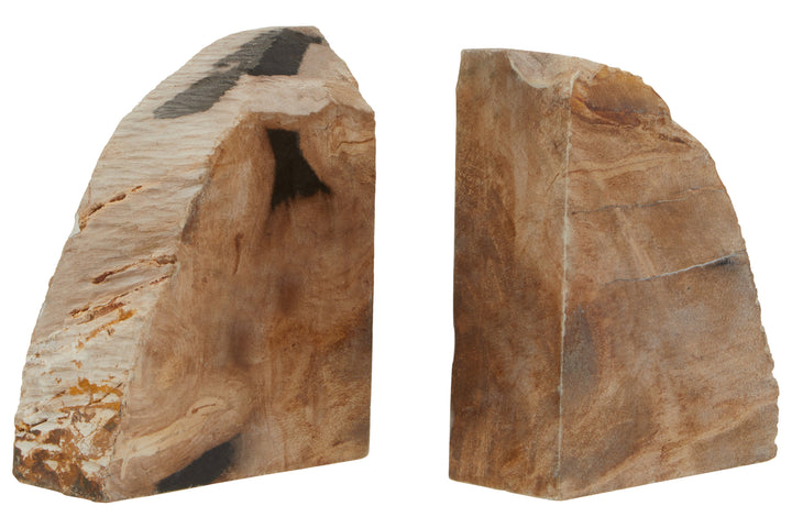 Relic Petrified Wood Bookends – Set of 2