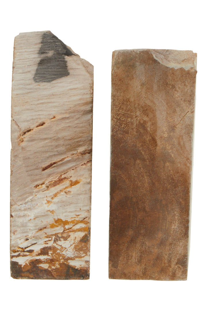 Relic Petrified Wood Bookends – Set of 2