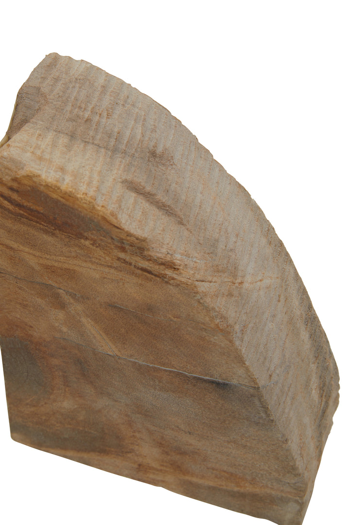 Relic Petrified Wood Bookends – Set of 2