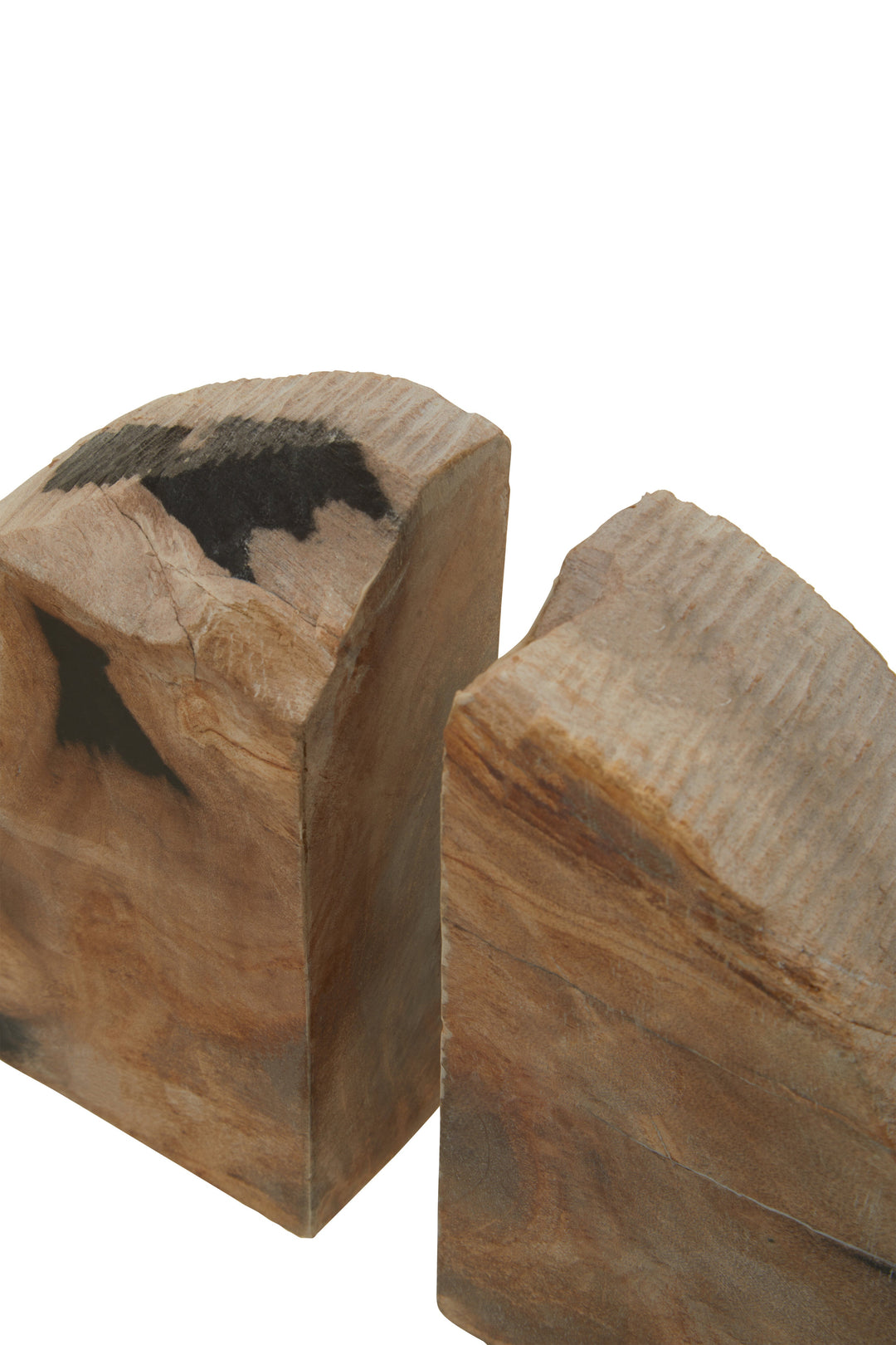 Relic Petrified Wood Bookends – Set of 2
