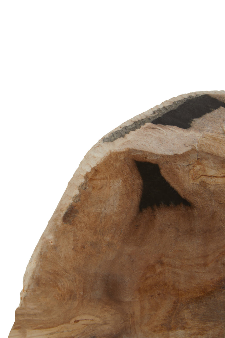 Relic Petrified Wood Bookends – Set of 2