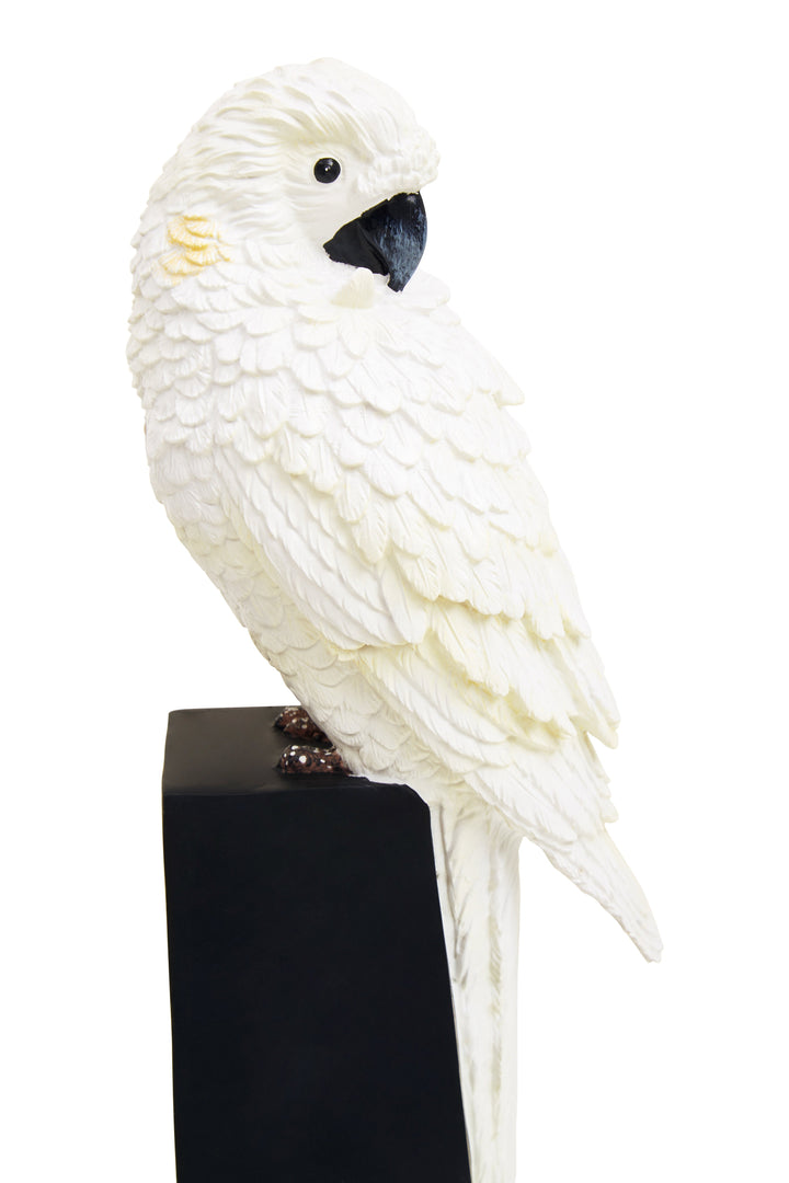 Boho Parrot Bookends – Set of 2