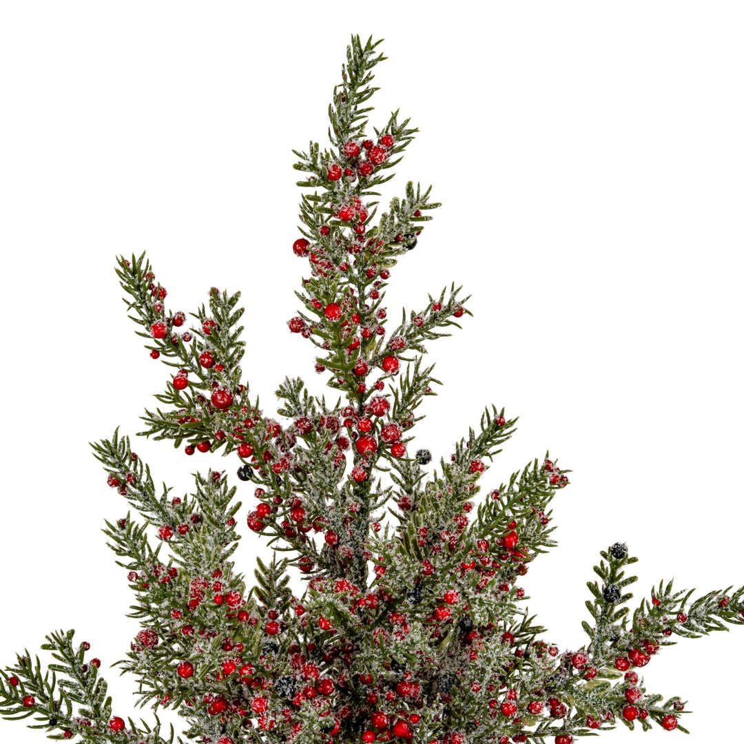 Large-Frosted-Winter-Berry-Tree-On-Wooden-Block