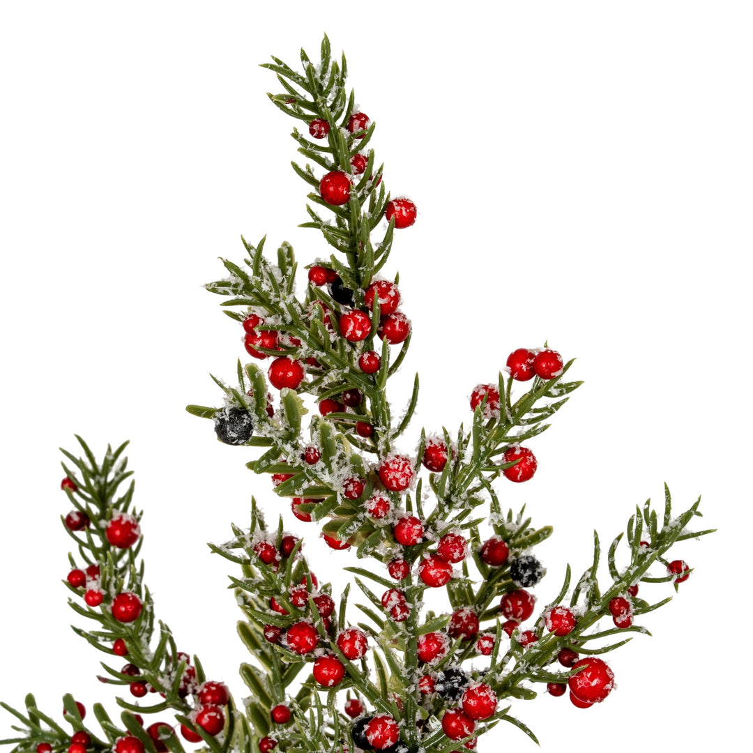 Medium-Frosted-Winter-Berry-Tree-On-Wooden-Block