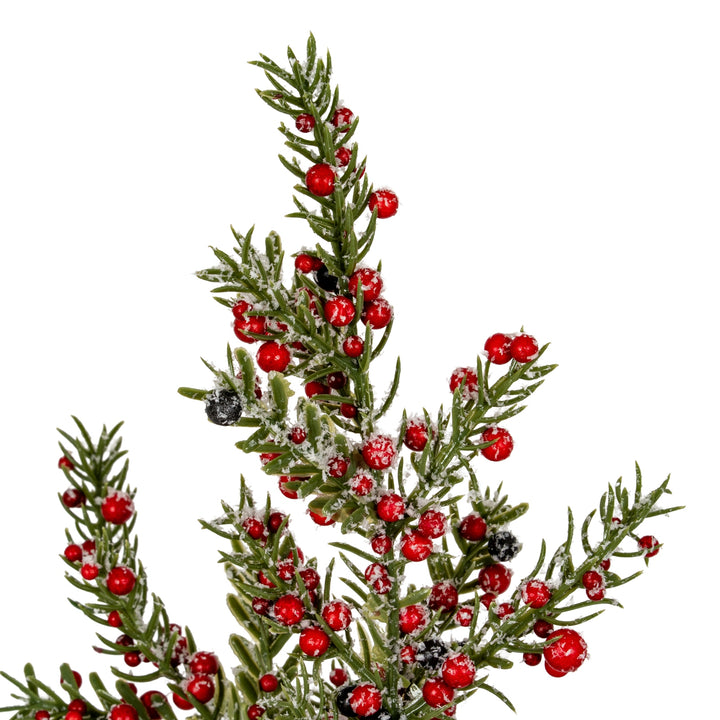 Medium-Frosted-Winter-Berry-Tree-On-Wooden-Block