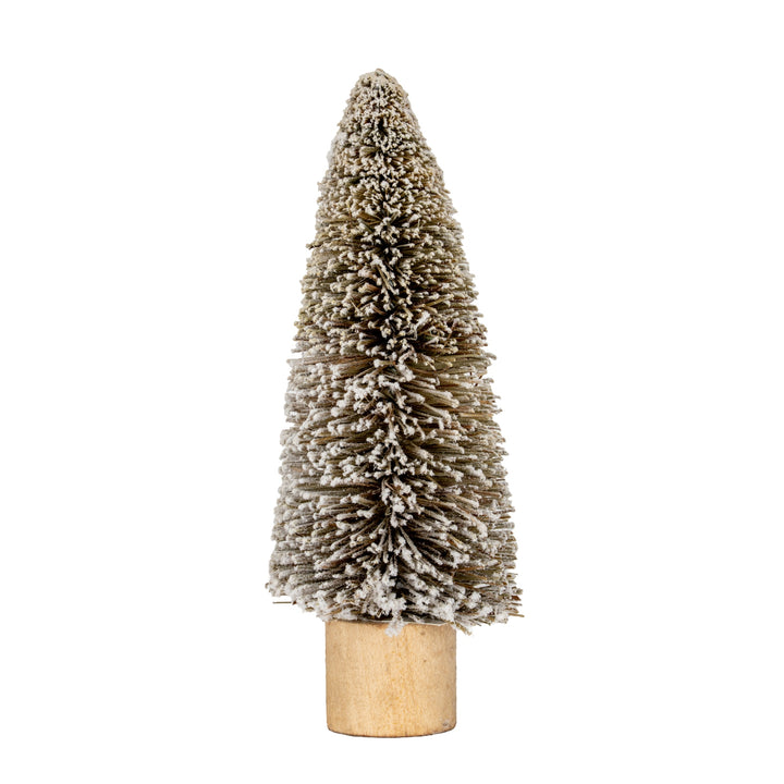 Medium-Cone-Brush-Tree