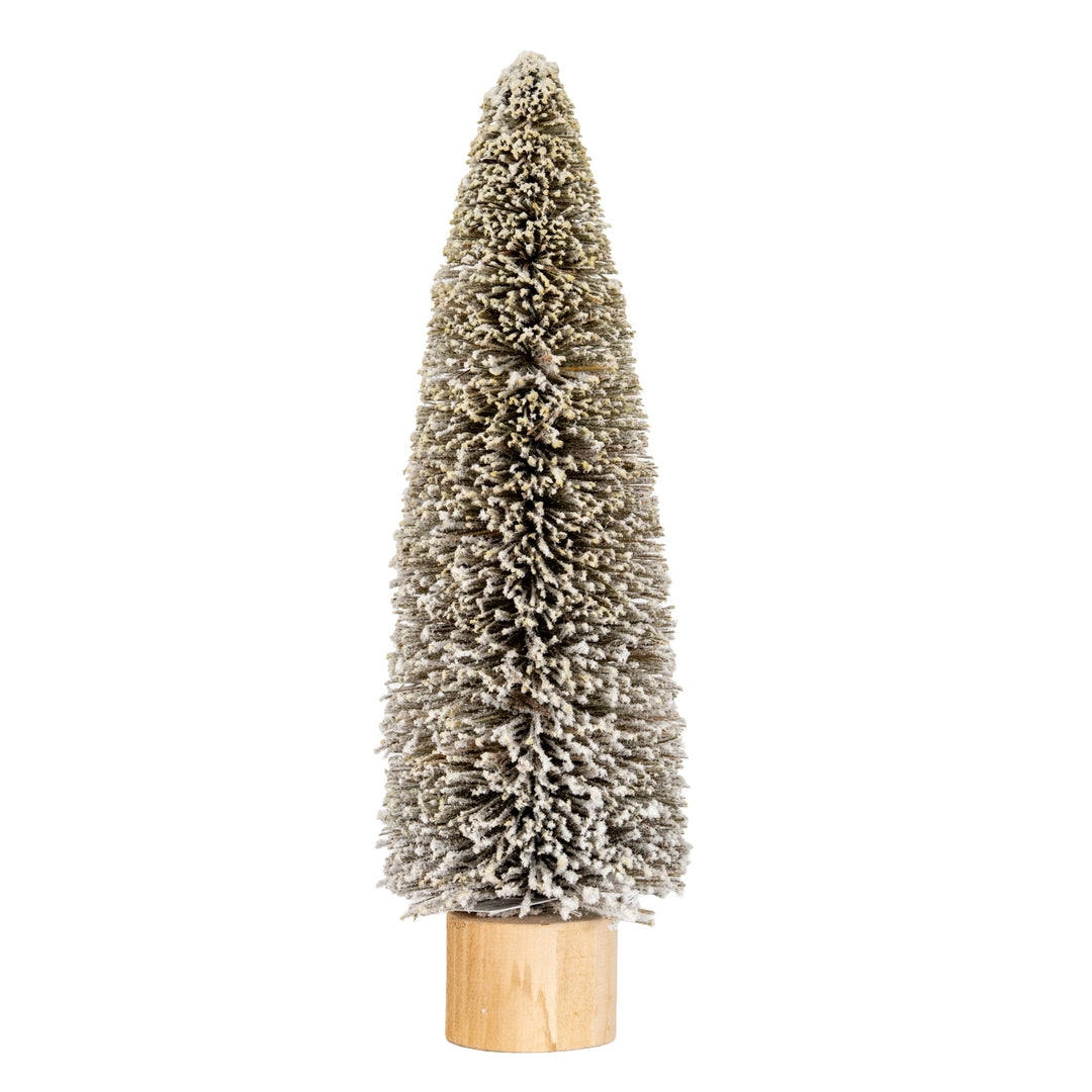 Large-Cone-Brush-Tree