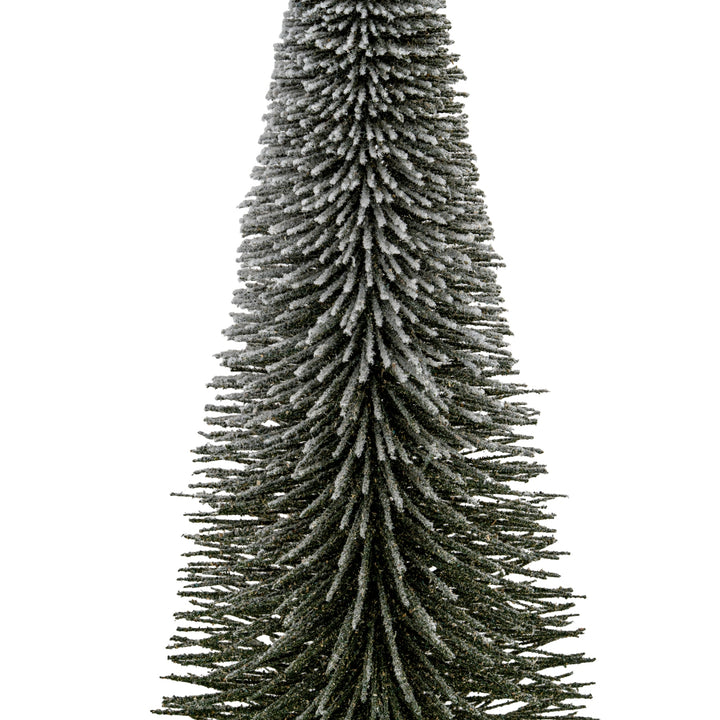Extra-Large-Spindle-Brush-Tree