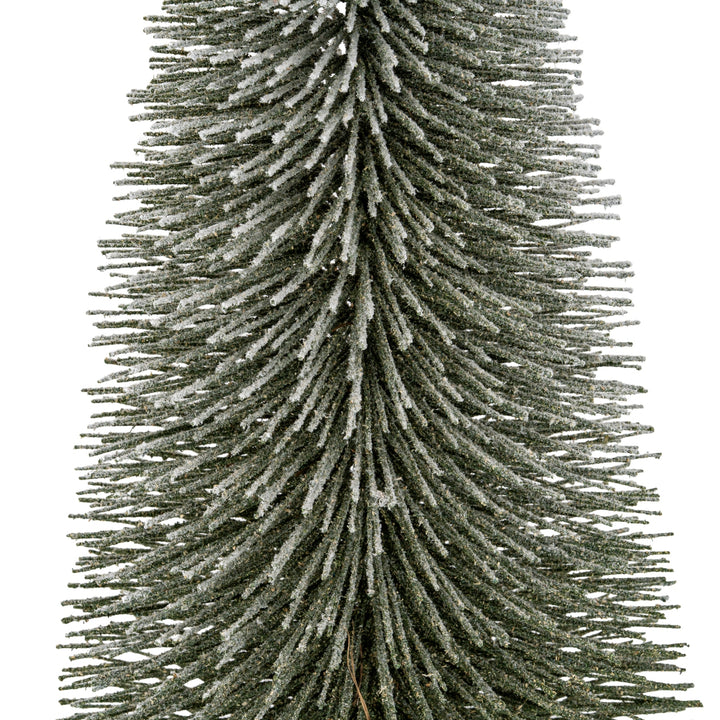 Large-Spindle-Brush-Tree