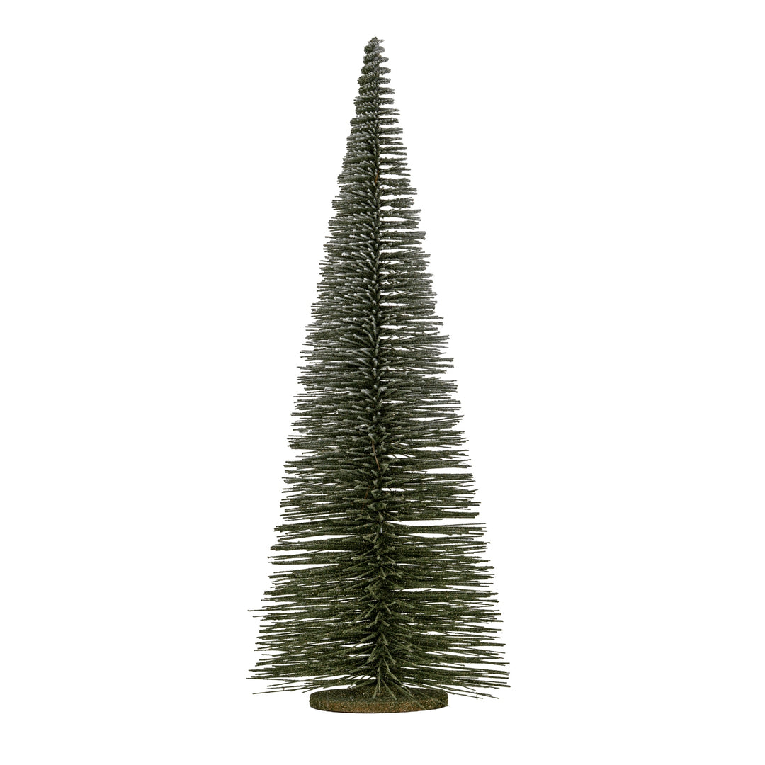 Large-Spindle-Brush-Tree