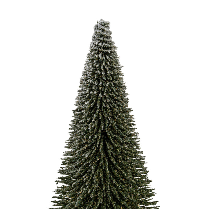 Medium-Spindle-Brush-Tree