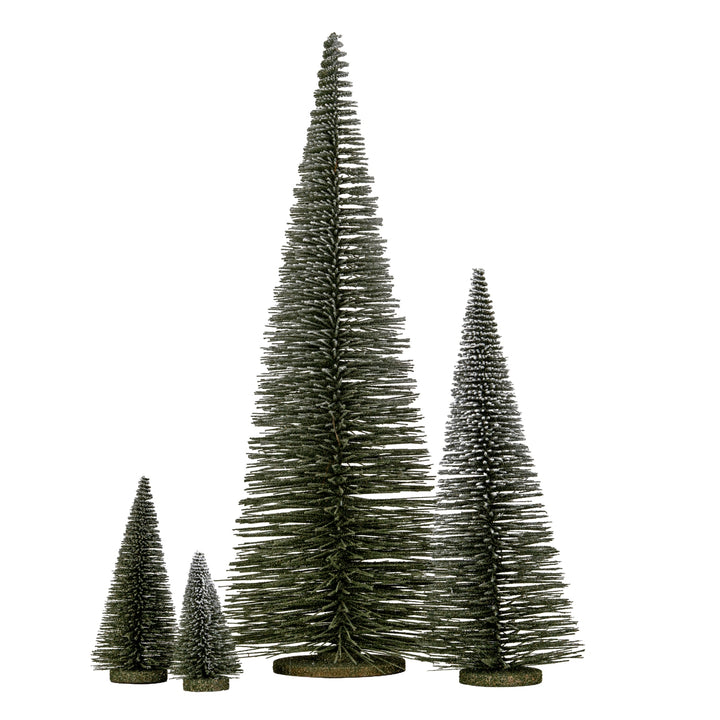 Medium-Spindle-Brush-Tree