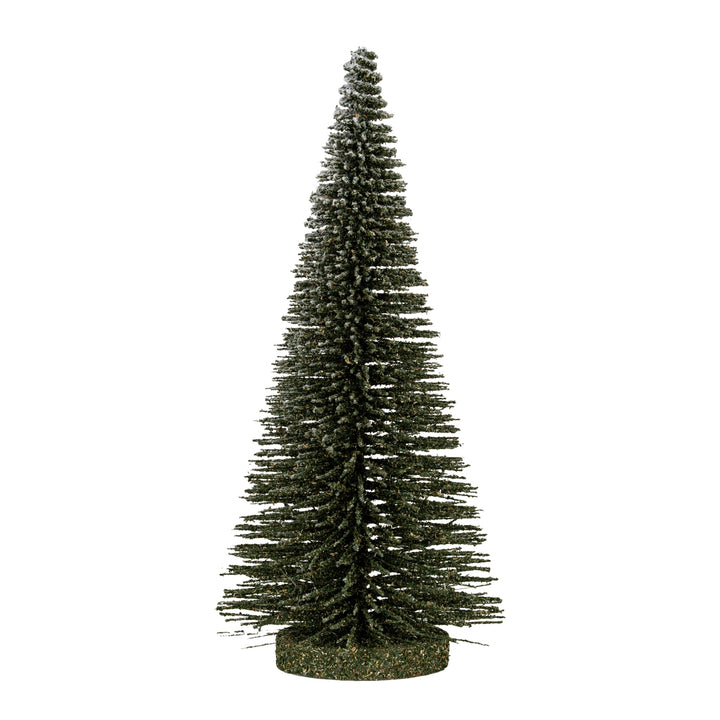Medium-Spindle-Brush-Tree