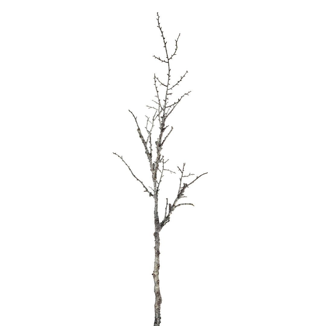 Snowy-Winter-Woodland-Branch