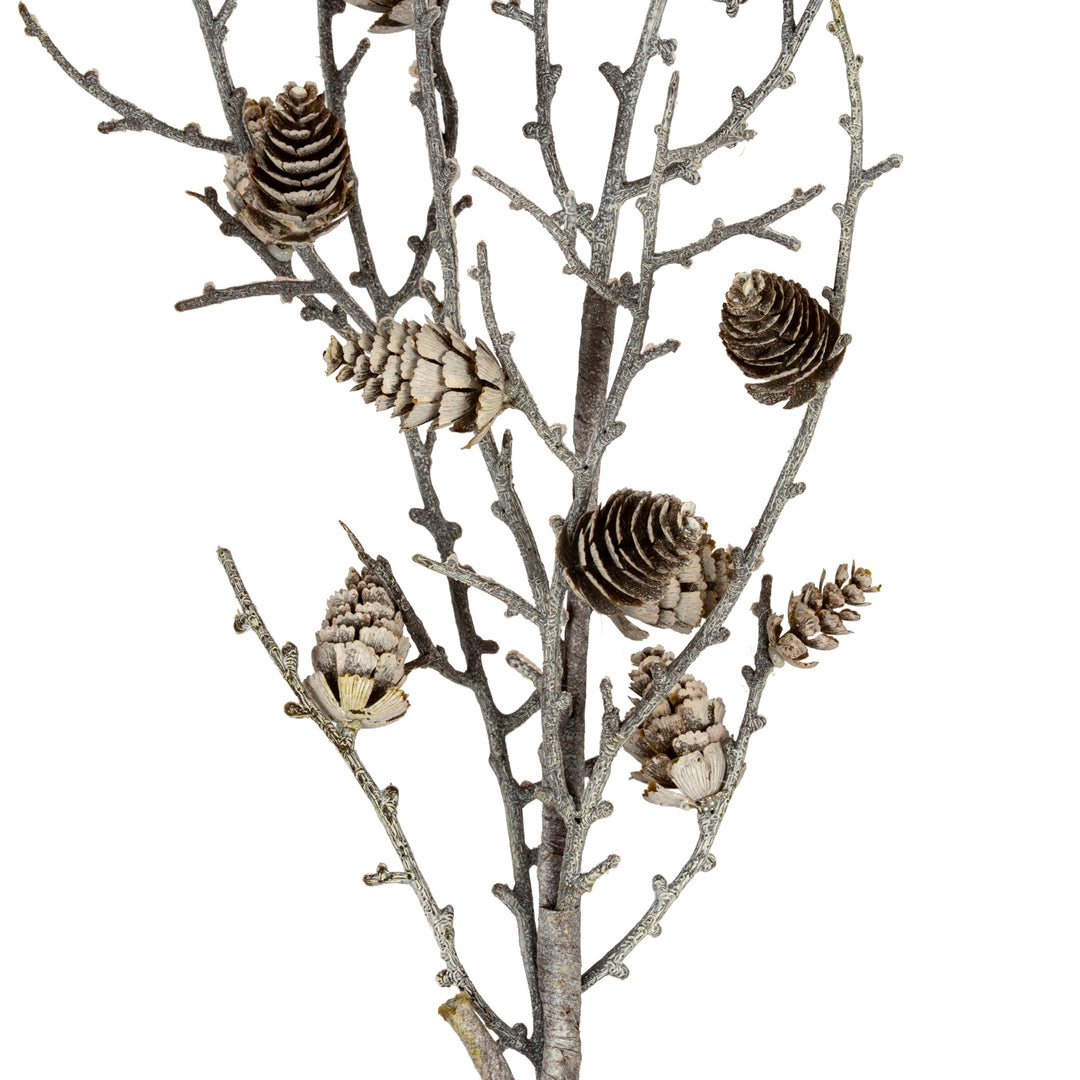 Snowy-Winter-Woodland-Branch-With-Pinecones