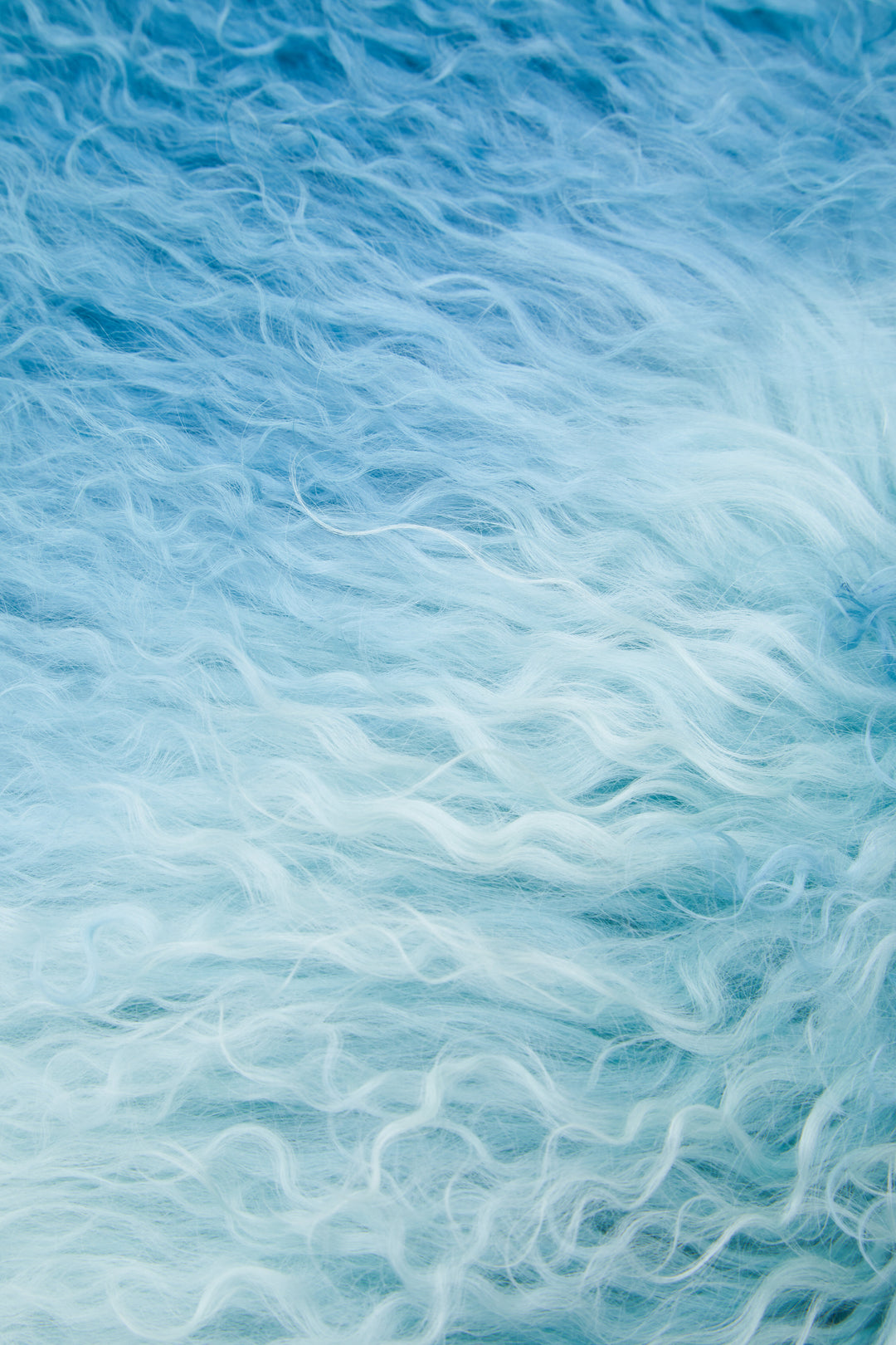 Bosie Square Cushion in Blue Mongolian Fur