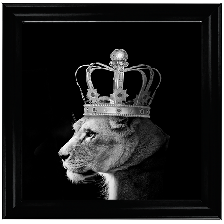 Queen Lion Silver