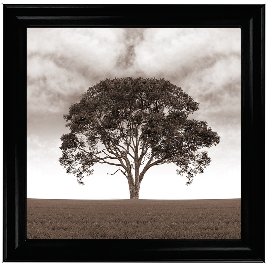 LS189 Lone Tree